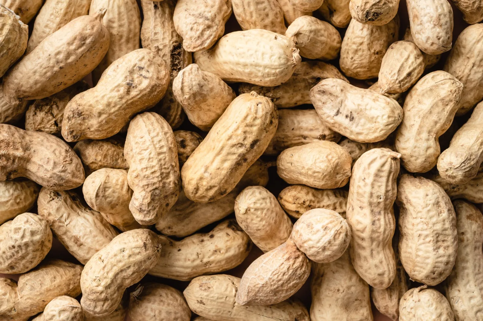 Peanuts seen from above